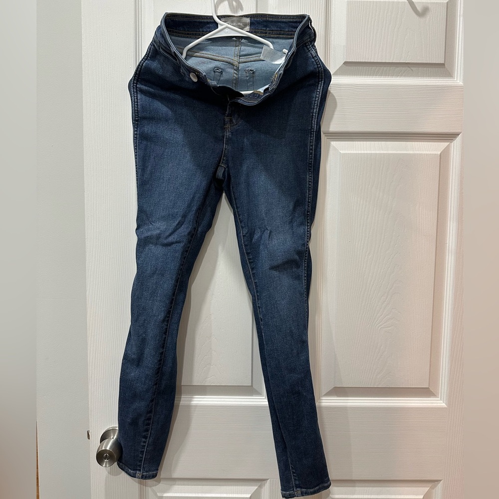Everlane the Way High Skinny Jeans